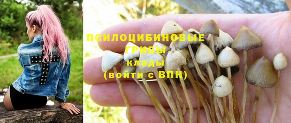 кокаин премиум Козловка