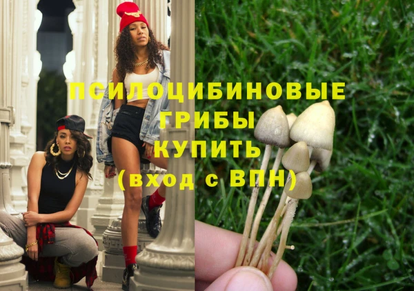 ALPHA PVP Киреевск