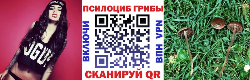 Купить закладки Благодарный Псилоцибиновые грибы Cubensis